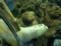 -上海海洋水族馆