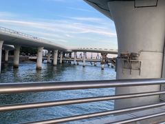 -演武大桥观景平台