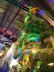 -恐龙探索乐园(磁器口店)