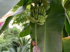-石家庄市植物园