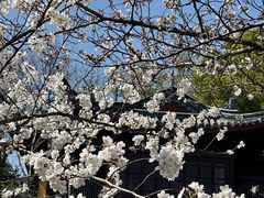 -鸡鸣寺