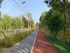 -上海长兴岛郊野公园