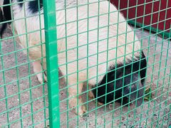 -同里湖度假村(二期店)