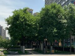 -木塔寺遗址生态公园