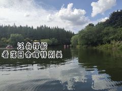 -东平国家森林公园