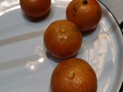 -金粤九号(李公堤店)