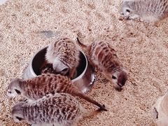 -海合安武汉极地海洋公园