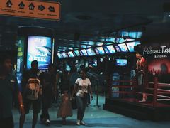 -暹罗海洋世界