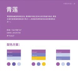 -美薇亭婚礼顾问