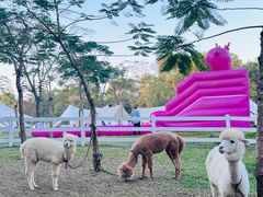 -云栖山谷野奢营地