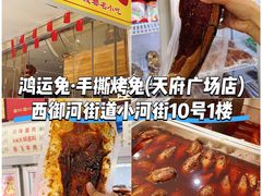 -鸿运兔·手撕烤兔(天府广场店)