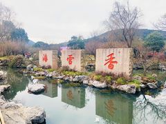-香雪海