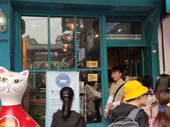 门面-猫咪博物馆(顶澳仔猫街店)