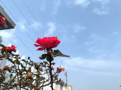 -凤凰山海港乐园