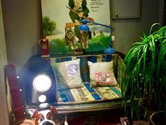 -RGF(巨鹿路店)