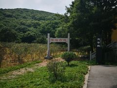 -龙寺生态园