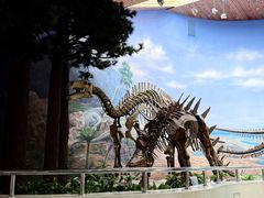 -延庆地质公园博物馆