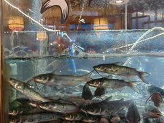 -三道苗苗鱼·美蛙黄辣丁(八里店)
