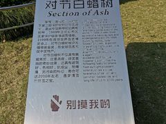 -苏州河梦清园环保主题公园