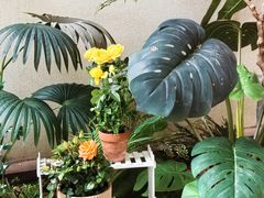 -Beans Solo豆号咖啡(百家湖花园店)