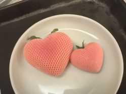 -星摇篮月子中心(市妇幼店)