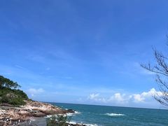 -广东惠东海龟国家级自然保护区