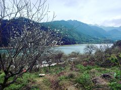 -广州市流溪河国家森林公园