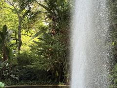-九龙公园