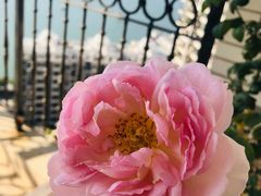-虾胡闹龙虾馆(湄南河店)