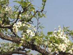 -白沙门生态公园