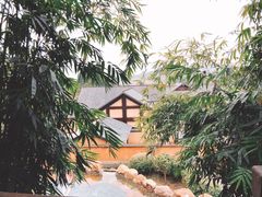 -崇阳三特浪口温泉