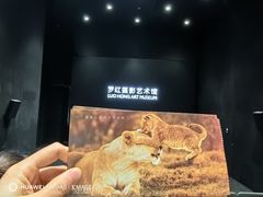 -罗红摄影艺术馆