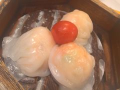粤食堂虾饺皇-粤食堂(天津和悦汇店)