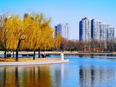 -泰丰公园