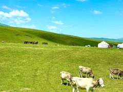 -新疆那拉提国家旅游度假区
