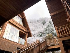 -金鼎雪山牦牛杂火锅(理县总店)