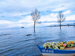 -青海湖国家重点风景名胜区