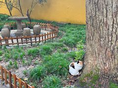 -西园戒幢律寺