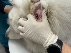 -宠颐生宠物医院·综合诊疗(先锋分院)