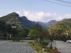 -衢州大荫山丛林飞越探险乐园