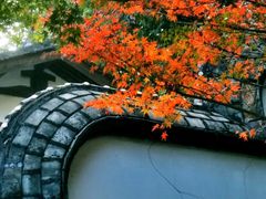 -乌山风景区