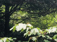 -太湖源风景区