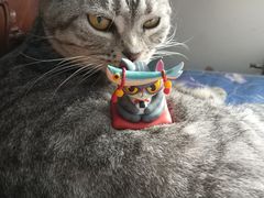 -泡泡玛特POPMART(合生汇店)