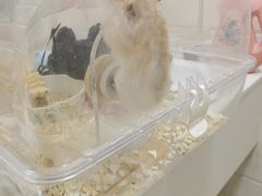 -西安汽车职业大学(临潼校区)