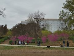 -元大都城垣遗址公园