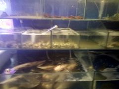 -天赢酒楼(青馨家园店)