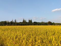 -嘉北郊野公园