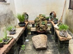 -月栖华明-云间草堂清茶馆(泗泾古镇店)