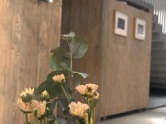 -boundaries籬苑(瑞光创意工厂-贰号院店)