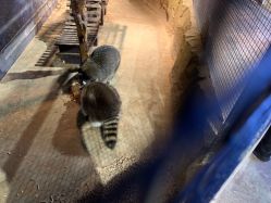 -酷嗒动物文化乐园(cutezoo西溪乐天城店)